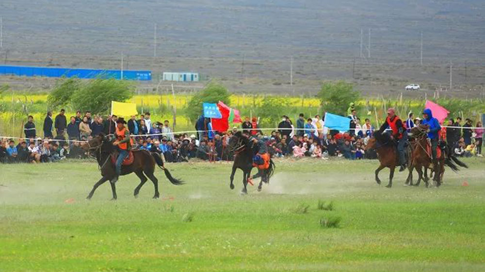 托克逊县哈萨克风情文化旅游节表演《走黑马》.jpg