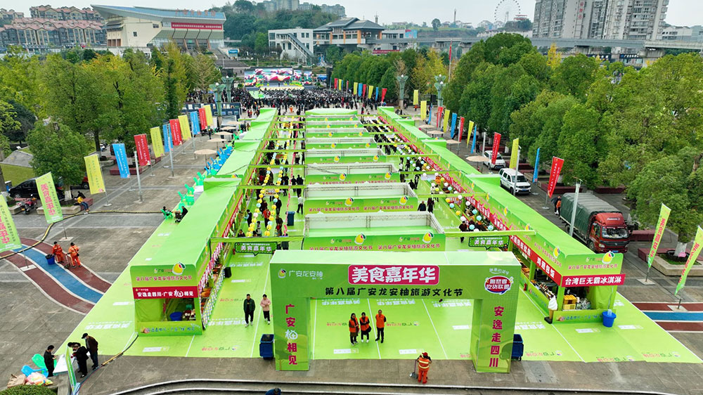 第八届广安龙安柚旅游文化节美食嘉年华.jpg