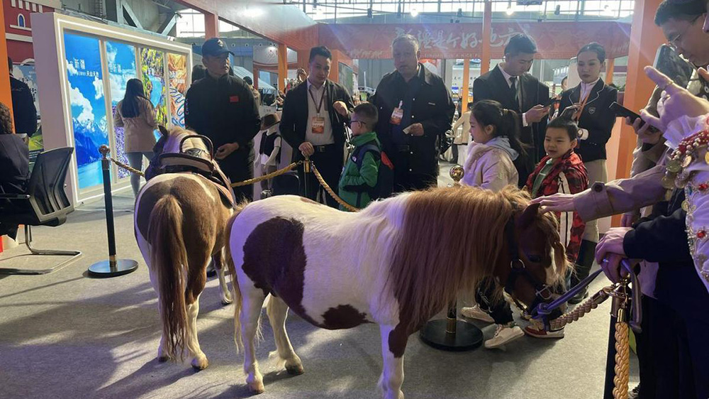 新疆野马国际展区“萌马”互动.jpg