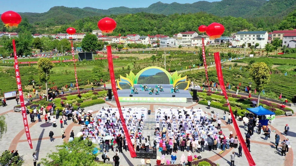 保康县第五届茶文化旅游节.jpg