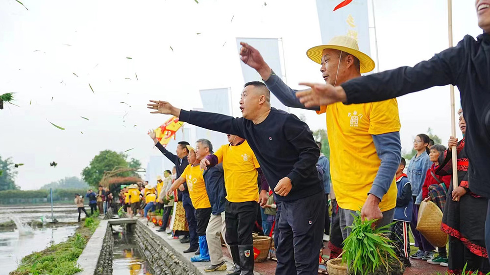 第九届成都“开秧门”农耕文化节现场.jpg
