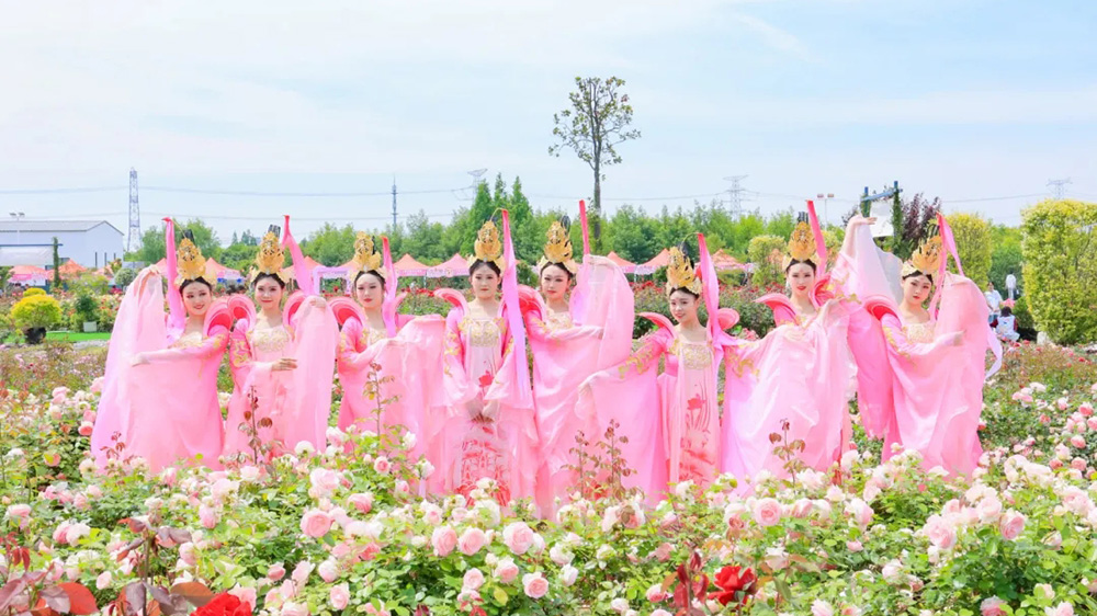 青浦区首届夏阳玫瑰文化旅游节现场活动.jpg