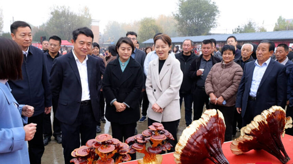 岱岳区祝阳镇“灵芝文化旅游节”现场图.jpg