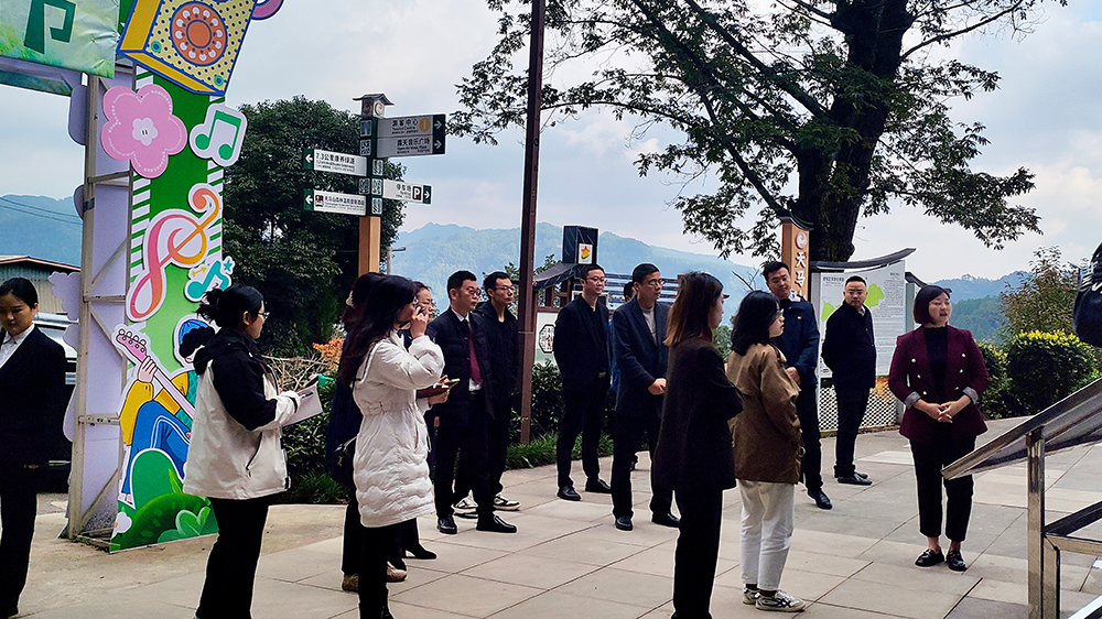 天马山旅游度假区文旅融合提升项目迎检1.jpg