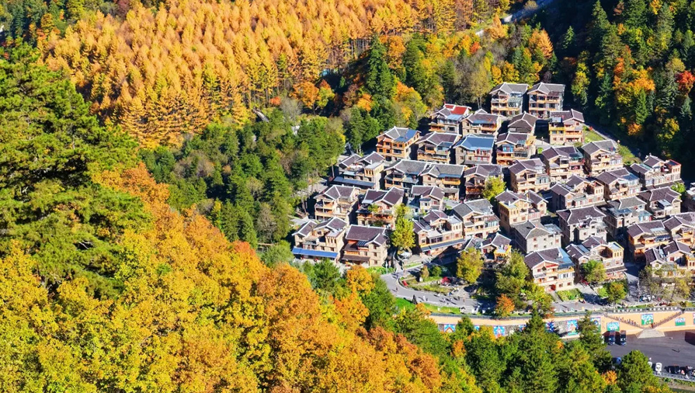 彩林红叶.jpg
