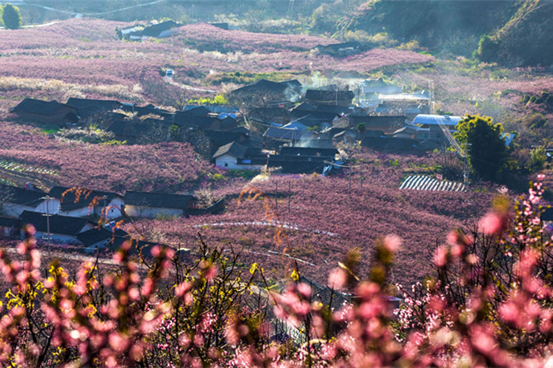 攀枝花市米易县麻陇彝族乡.jpg