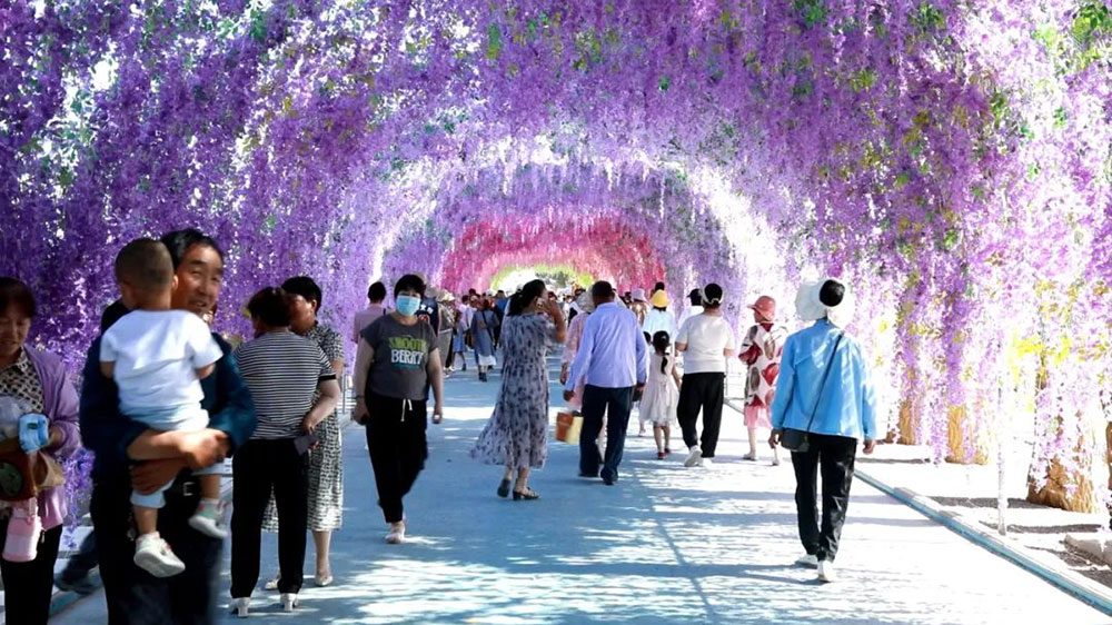 瓜州县第四届福禄花田文化旅游节现场.jpg